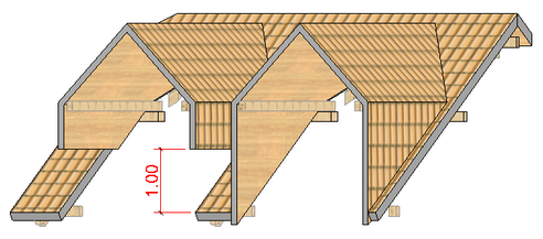 DachGaube07